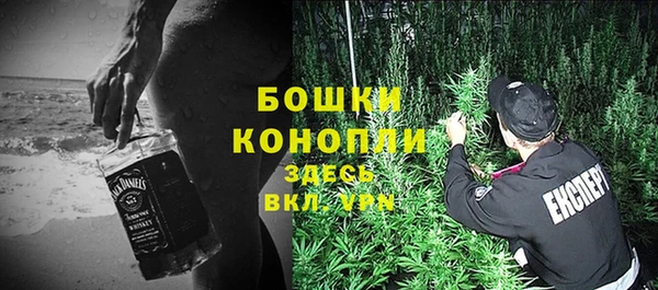 ECSTASY Гусев