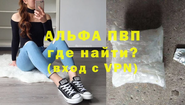 ECSTASY Гусев